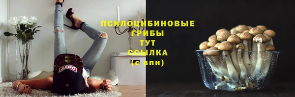 бошки Богданович